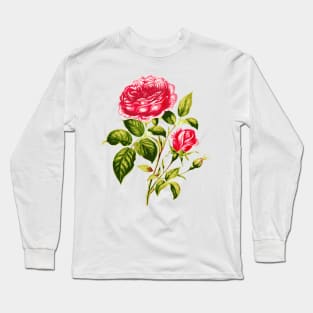 Vintage Pink Roses with Branches and Rose Buds Long Sleeve T-Shirt